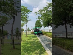 Elektrisches Golfmobil